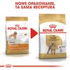 Royal Canin Poodle Adult, Dorosły, Pudel, Mini (5 - 10 kg), Podgląd zdjęcia produktu 8