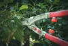 A close-up shot of a pair of red-handled pruning shears cutting through green leaves. Voir les images du produit