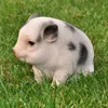 Dekofigur Gartenfigur Schwein / Ferkel Produktbild-Vorschau 2