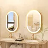 Vrygle Miroir Ovale avec Éclairage : Miroir LED 80x50 cm, Voir les images du produit 2