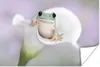 MuchoWow® Poster Lilie - Frosch - Blume 180x120 cm - Produktbild-Vorschau 1