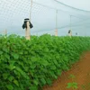 síť proti ptákům ochranná síť na stromy keře balkon 2x10 m Náhled obrázku produktu 4