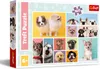 Trefl Puzzle 160 el. Psia przyjaźń, 160 szt., Animals, 6 Podgląd zdjęcia produktu 7