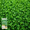 EcoDeco Rasenmischung mit Mikroklee Pipolina, Kleesamen für Produktbild-Vorschau 6