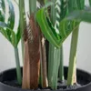 Palmier artificiel 95cm avec pot, Plante artificielle verte Voir les images du produit 11
