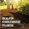 Compo-Sana Balkon- und Kübelpflanzenerde 50 Liter Produktbild-Vorschau 5