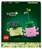 Plantes balançantes Voir les images du produit 11