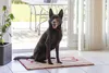 Dirty Dog Doormat - Hund - Beige - 78x51 cm Produktbild-Vorschau 8