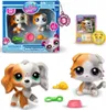 Hasbro Littlest Pet Shop LPS Duo VI Produktbild-Vorschau 1