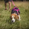 Dingo Hundegeschirre Sled Große L Farbe Rosa Zuggeschirr Produktbild-Vorschau 5