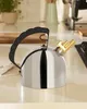 Alessi Water Kettle With Steel Bottom (Art.-Nr. 9091 FM, Voir les images du produit 5