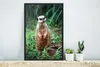 MuchoWow® MuchoWow® Gerahmtes Poster Gras - Erdmännchen - Produktbild-Vorschau 4