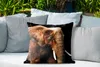 MuchoWow® Outdoor Kissen - Elefant - Tiere - Braun - 50x50 Produktbild-Vorschau 4
