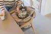 Designed by Lotte Tico Hundetragetasche, Farbe:beige Produktbild-Vorschau 18