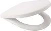 Calmwaters® Antibakterieller WC Sitz für Keramag iCon Produktbild-Vorschau 9
