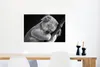 MuchoWow® Poster Schlafender Koala auf schwarzem Produktbild-Vorschau 5