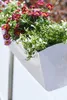 Fioriera da balcone BALKONA CLASSICO in plastica, bianco Anteprima dell’immagine prodotto 6