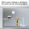 eWeLink WiFi Smart Ventil DN20, Automatisches Kugelventil Produktbild-Vorschau 5