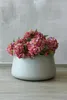 Pot de fleurs VIVANNO en fibre de verre GORDO, rond, beige Voir les images du produit 7