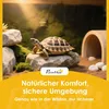 Schildkrötenhaus aus Holz Schildkrötengehege mit Produktbild-Vorschau 5