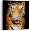 Bild auf Leinwand - Leinwandbild - tiger tier - 70x70cm - Produktbild-Vorschau 1