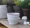 A collection of plant pots and gardening supplies on a wooden table. Produktbild-Vorschau