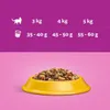 ‎Whiskas 5900951259418, Adult, jede Rasse, Huhn, 14 kg Produktbild-Vorschau 6