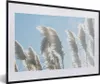 MuchoWow® Gerahmtes Poster Himmel - Gras - Pampasgras 60x40 Produktbild-Vorschau 1