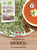SPERLI  Keimsprossen-Saat Brokkoli Brassica rapa cymosa 15 Produktbild-Vorschau 1