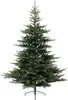 EVERLANDS Kerstboom Grandis Tanne, artikelnummer 681450, Productafbeelding-voorbeeld 10