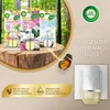 Air Wick Letná Zábava Náplň do osviežovača vzduchu, 3x Náhľad obrázku produktu 4