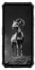 Ulefone Armor 28 PRO, 16,9 cm (6.67"), 16 GB, 512 GB, 50 Produktbild-Vorschau 3