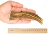 1 szt. XL Hard jeleń / 17-19cm Gryzak gryzaki z poroża Podgląd zdjęcia produktu 2
