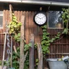 A clock is mounted on a wooden wall next to some gardening tools and plants. Náhled obrázku produktu