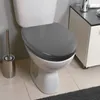 A close-up shot of a toilet with a gray seat and a toilet brush holder next to it. Anteprima dell’immagine prodotto
