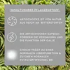 Sunlife Artischocken Kapseln 60Stück Produktbild-Vorschau 6