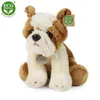 Rappa Plüsch Bulldogge Kuscheltier 26 cm umweltfreundliches Produktbild-Vorschau 5