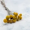 Craspedia - (Natürliche Extra Craspedia) - Bouquet mit 15 Produktbild-Vorschau 5