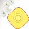 KADAX vaso da fiori "Menfi", vaso da fiori per orchidea, Anteprima dell’immagine prodotto 9