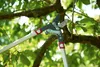 Wolf RS 800 V Astschere Power Cut Produktbild-Vorschau 9