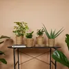 Bloomique - Zestaw 4 doniczek - Kosz na rośliny Coco - Podgląd zdjęcia produktu 2