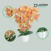 Lacers SmagragdLine Pflegeleichte Orchidee mit Topf orange Produktbild-Vorschau 3
