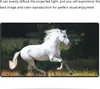 A white horse running in a field with trees in the background. Produktbild-Vorschau