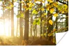 MuchoWow® Poster Sonne - Licht - Blätter 60x40 cm - Produktbild-Vorschau 1