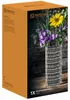 Nachtmann Vase/photophore Ethno 28 cm de haut Voir les images du produit 4