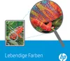 HP 312X - Hohe Ergiebigkeit - Schwarz - original - LaserJet Produktbild-Vorschau 2