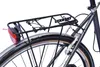 WYNN Trekkingrad 28 Zoll TRK1.0 grau Rahmenhöhe 48 cm Damen Produktbild-Vorschau 5