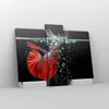 Bild auf Leinwand - Leinwandbild - Fisch Wasser Natur - Produktbild-Vorschau 4