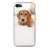 MuchoWow® Handyhülle Schutzhülle Hülle für iPhone 8 Hund - Produktbild-Vorschau 1