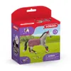 Cavallo da torneo del cavallo Trakehner Anteprima dell’immagine prodotto 5